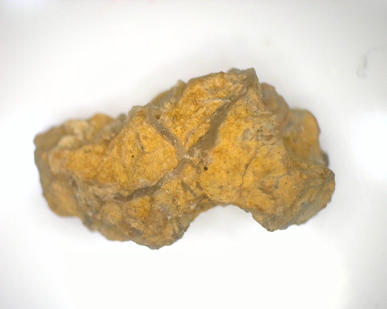 11_007.jpg