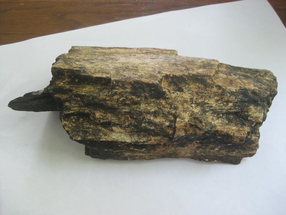 Petrified_20wood_20found_20while_20canoeing_20the_20Little_20River__20Aug_2009_20001_001.JPG