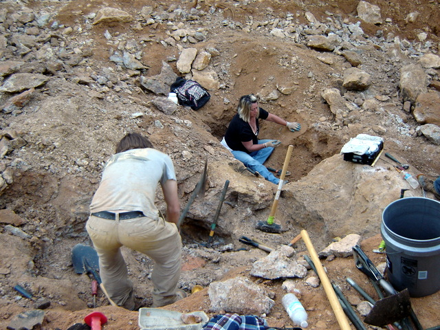 ReelMine_2012_004.jpg