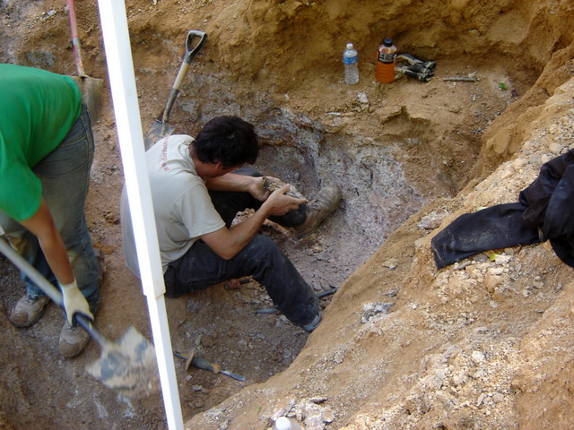 ReelMine_2012_018.jpg
