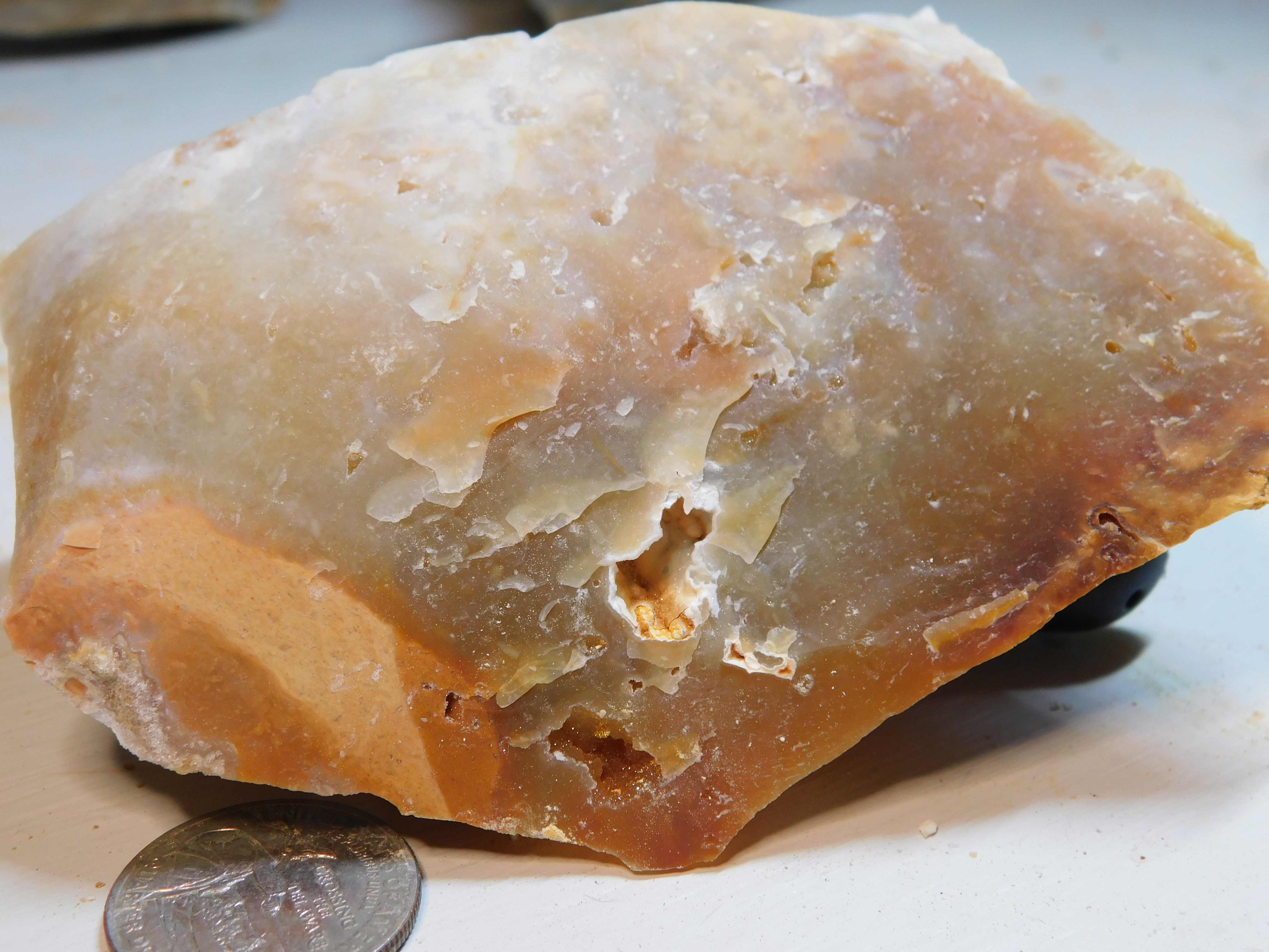 bdruzy_042.JPG