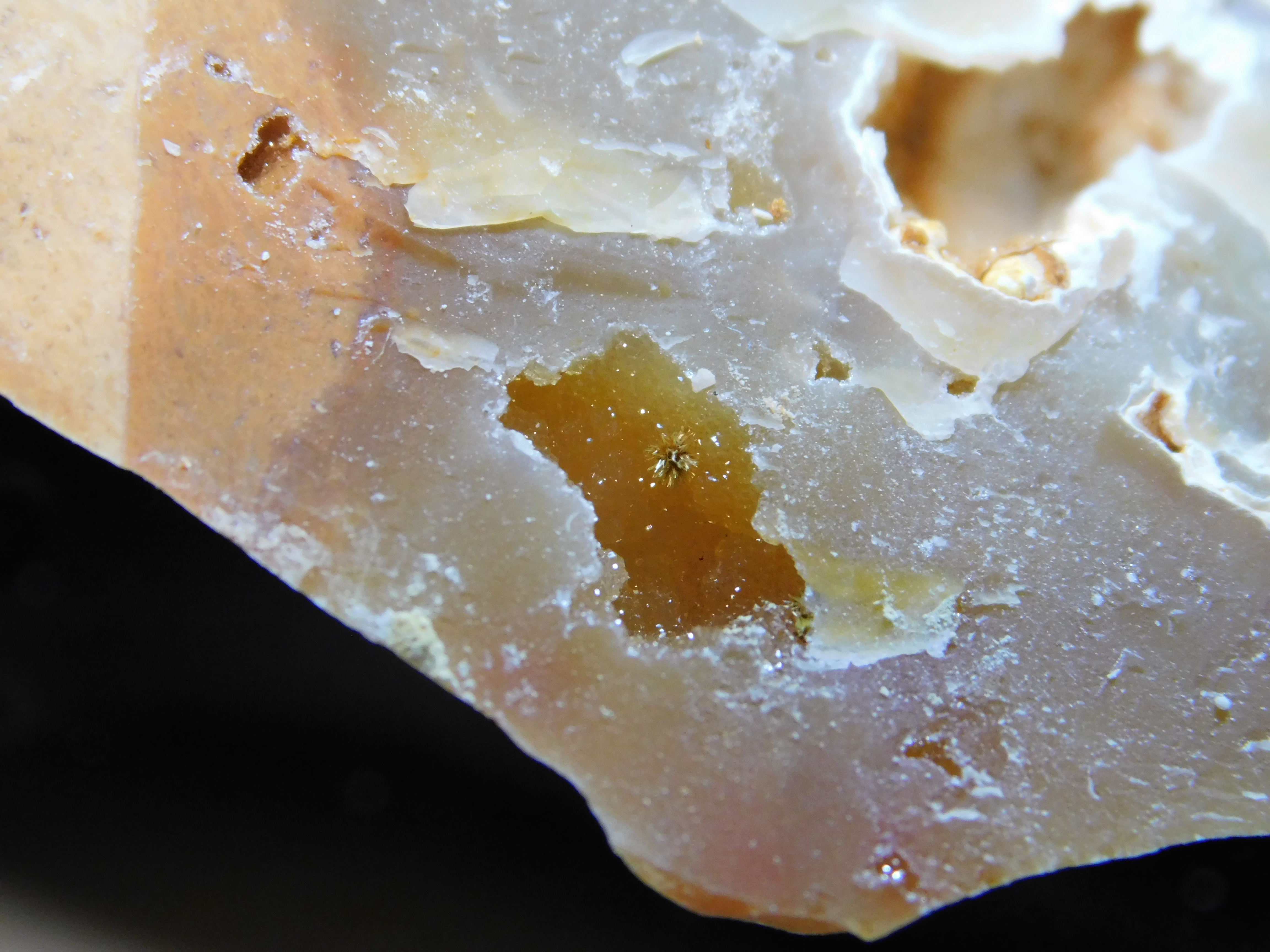 bdruzy_047.JPG