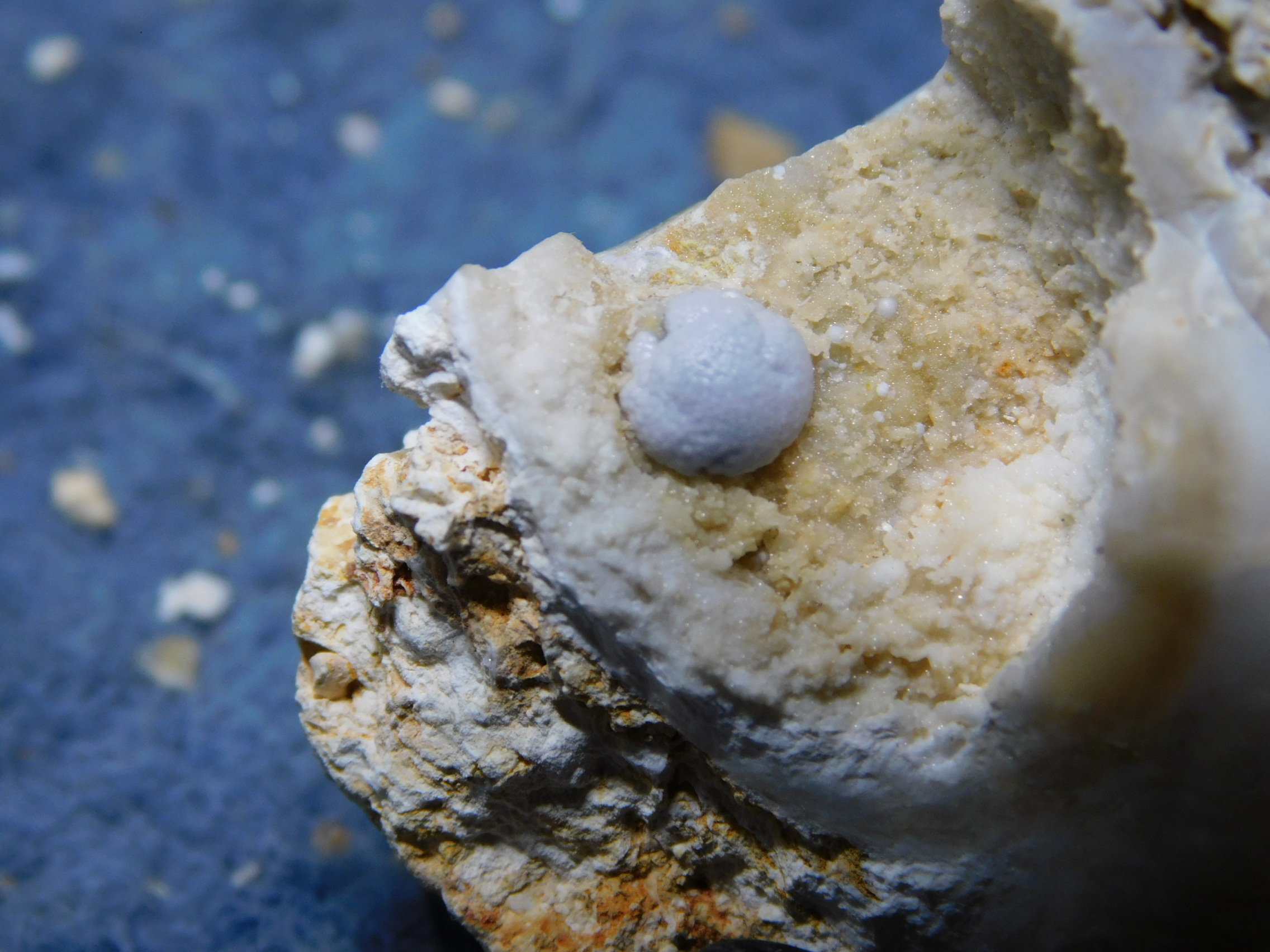 crystal_015.JPG