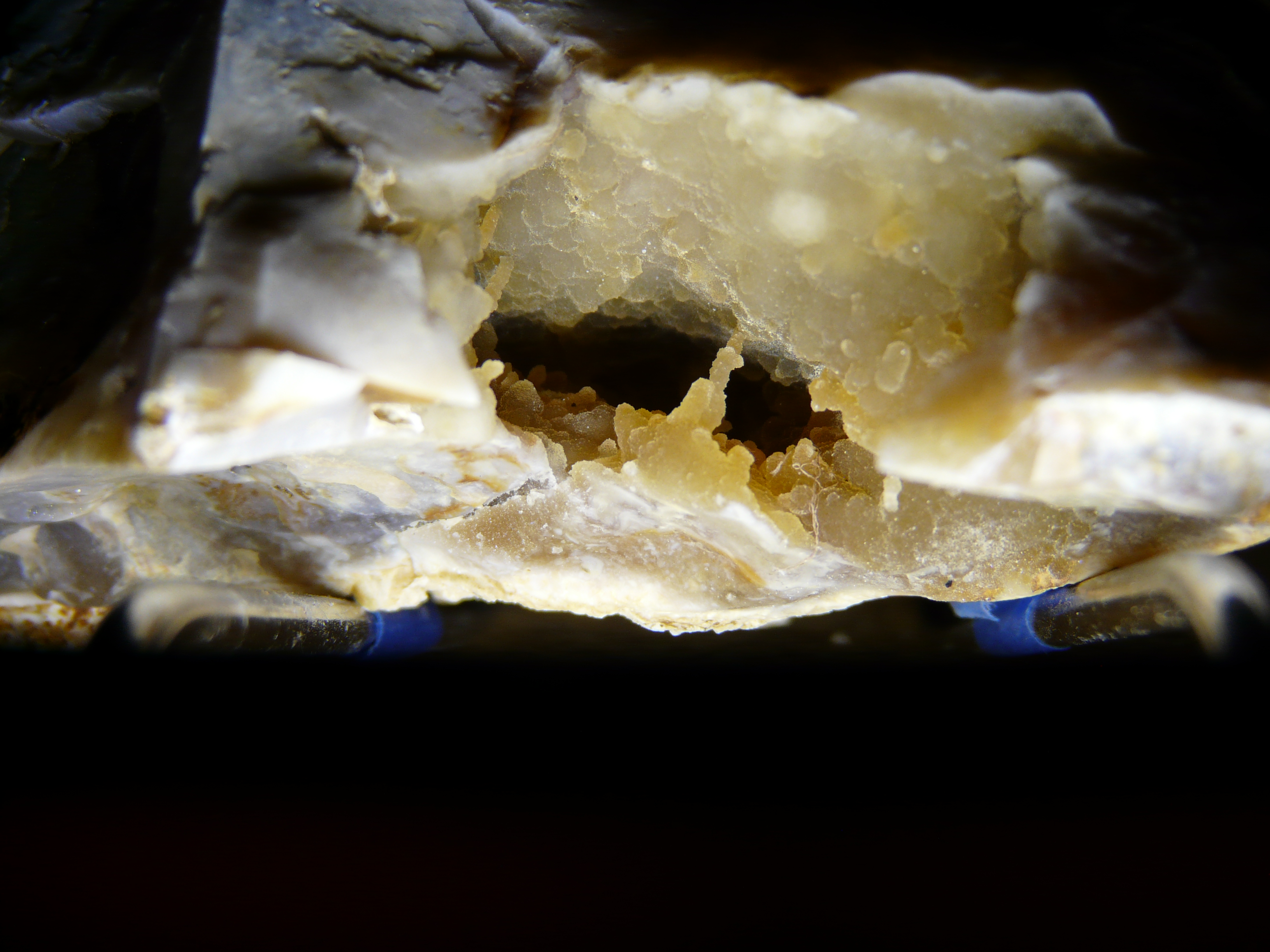 lumix12-7_011.JPG