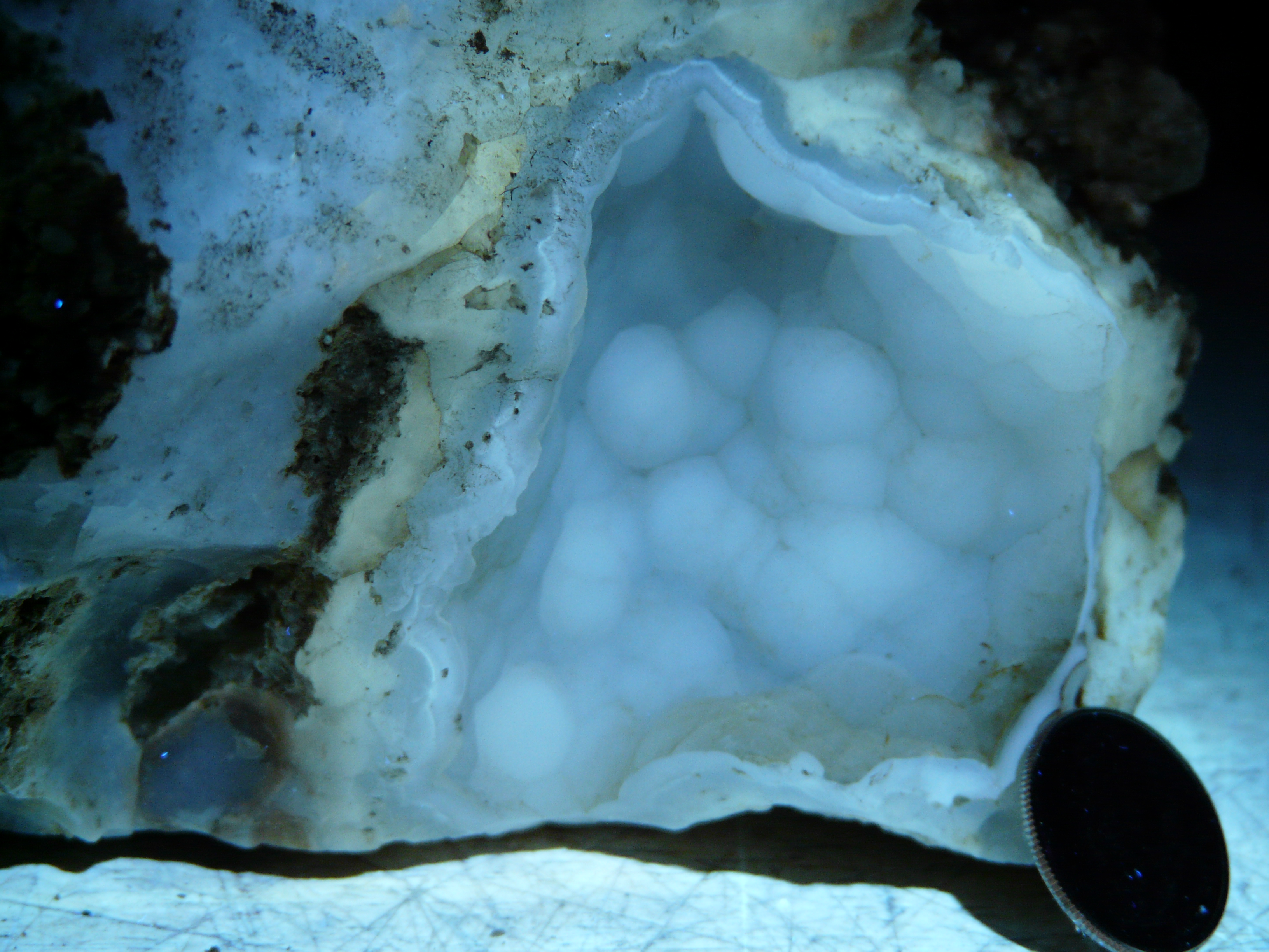 lumix12-7_016.JPG