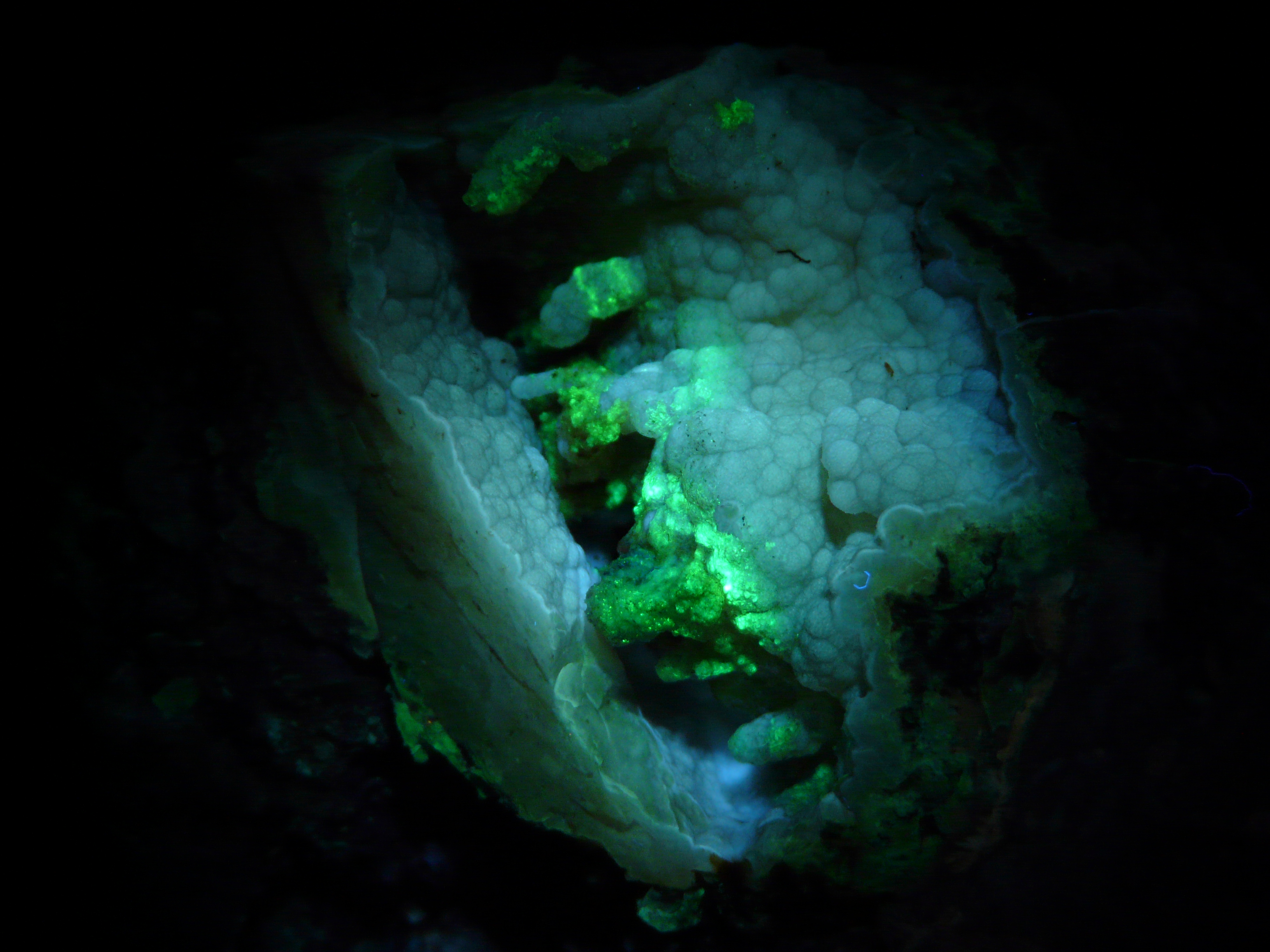 lumix12-7_020.JPG